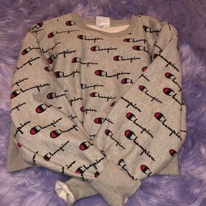 champion cropped hoodie